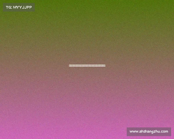 广州马拉松赛事包全面剖析包内物资详解与实战使用指南